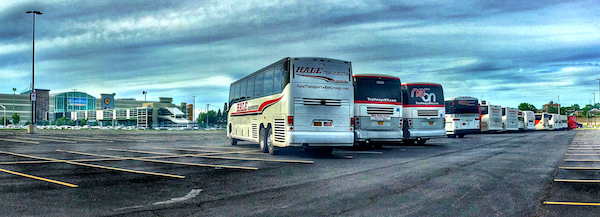 Buses Lined Up