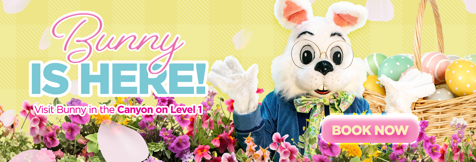 2025 Bunny Here slider