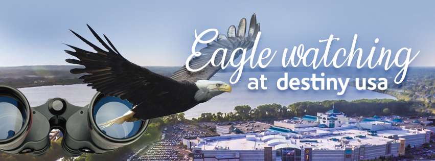 2021 02 05 dusa eagle fb header