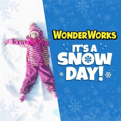 484376018 1127177606115229 2719128891461686711 n