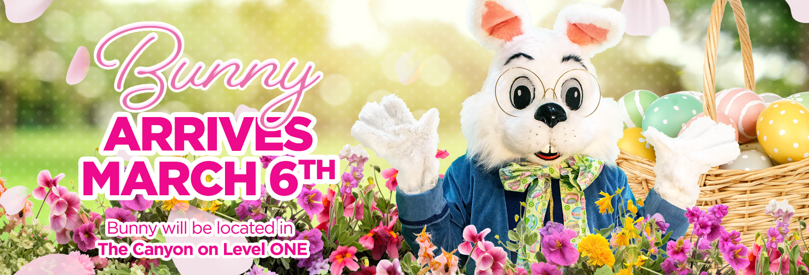 2026 bunny arrives slider