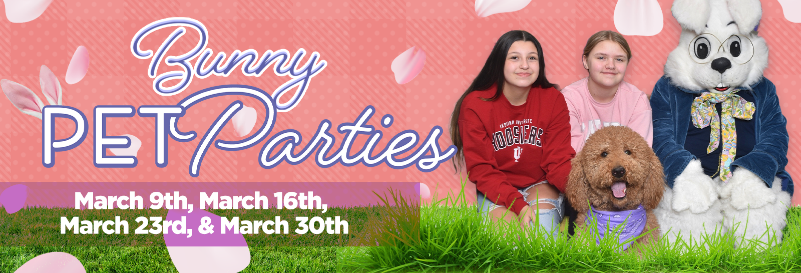 26 bunny cares slider